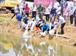 Tingkatkan Ketahanan Pangan, 50.000 Benih Nila Dilepas di Embung Kecamatan Mare