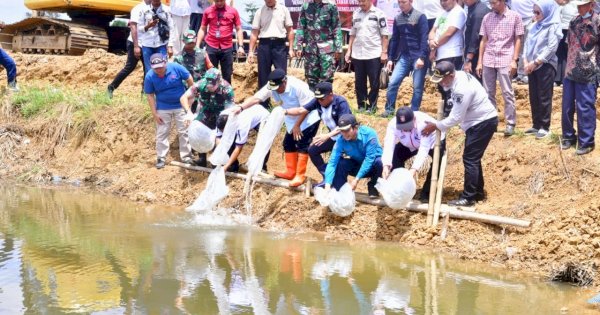 Tingkatkan Ketahanan Pangan, 50.000 Benih Nila Dilepas di Embung Kecamatan Mare