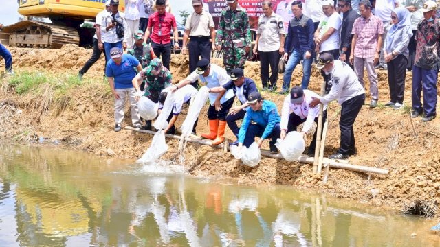Tingkatkan Ketahanan Pangan, 50.000 Benih Nila Dilepas di Embung Kecamatan Mare