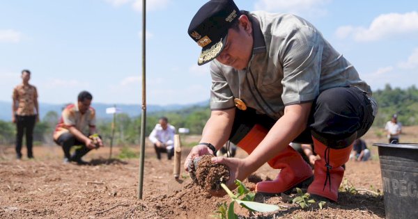 Pj Gubernur Bahtiar Ajarkan Para Petani Enrekang Cara Kembangkan Bibit Pisang