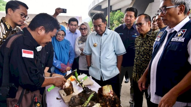 Pemprov Kumpulkan Penyuluh Pertanian se Sulsel, Ini Yang Dibahas 