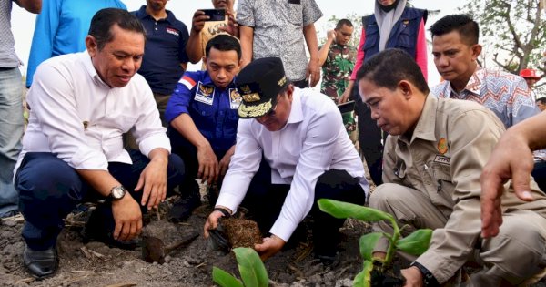 Sidrap Bakal Hadirkan Kawasan Budidaya Pisang