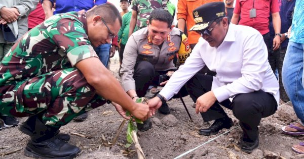 Pemkab Sidrap Siapkan 1.500 Hektar Lahan untuk Budidaya Pisang