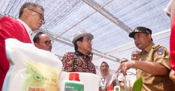 Jutaan Bibit Pisang Cavendish Dilaunching di Pusat Pembibitan Unhas