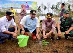 Pj Gubernur Bahtiar dan Rektor IAIN Bone Tanam 1.000 Pohon Pisang Cavendish