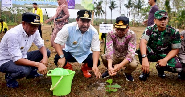 Pj Gubernur Bahtiar dan Rektor IAIN Bone Tanam 1.000 Pohon Pisang Cavendish