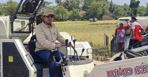 Jadi Penyelamat, Akademisi IPB Dukung Kebijakan Tanam di Lahan Rawa 