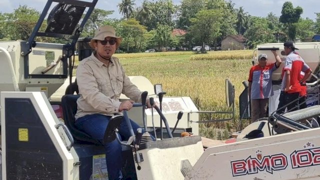 Jadi Penyelamat, Akademisi IPB Dukung Kebijakan Tanam di Lahan Rawa 