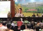 Mentan Amran Genjot Kembali Upsus Percepatan Produksi Padi dan Jagung di Jatim