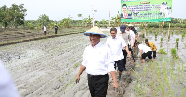 Percepatan Produksi Beras Nasional, Mentan Amran Serukan &#8220;Tanam Culik&#8221; dari Tuban