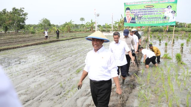 Percepatan Produksi Beras Nasional, Mentan Amran Serukan &#8220;Tanam Culik&#8221; dari Tuban