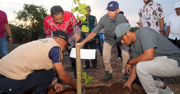 Penanaman Bibit Nangka Madu di Bulukumba, Bahtiar: Jangan Biarkan Lahan Kosong