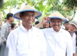 KTNA Kerahkan Petani Dukung Program Kementan Optimalisasi Lahan Rawa