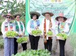 Dorong Ketahanan Pangan Keluarga, Bidang V OASE KIM Panen Sayur Organik dan Bimtek Urban Farming