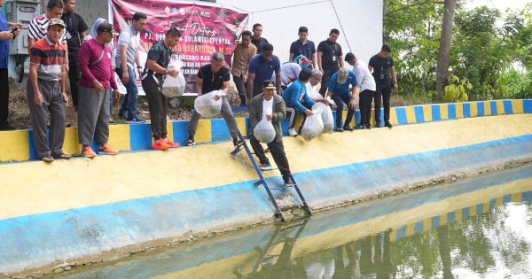 Program Ketahanan Pangan, Pj Gubernur Sulsel, 21.000 Benih Ikan Ditebar di Kolam Desa Wollangi