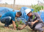 Dorong Penghijauan, Huadi Group Gelar Aksi Penanaman Pohon