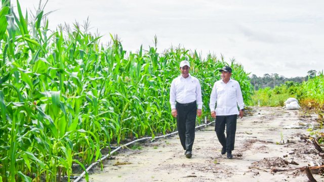 Mentan-Wamenhan Kunjungi Gunung Mas, Pastikan Food Estate Berjalan Baik