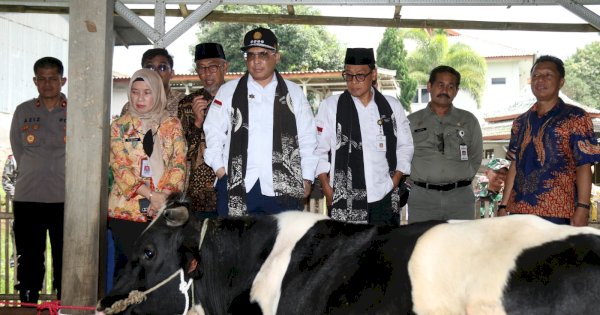 Wamentan Harap Pasuruan Tingkatkan Populasi Sapi Perah lewat KUD