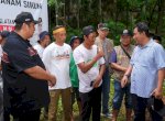 Jaga Kelestarian Kawasan Geopark, 10 Ribu Pohon Sukun Bakal Ditanam di Rammang-rammang
