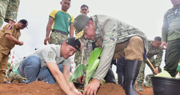 Pangdivif 3 Kostrad Siapkan Lahan 100 Hektar untuk Budidaya Pisang Cavendish