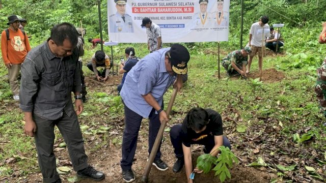 Pj Gubernur Lakukan Penanam Sukun di Rammang-rammang Maros