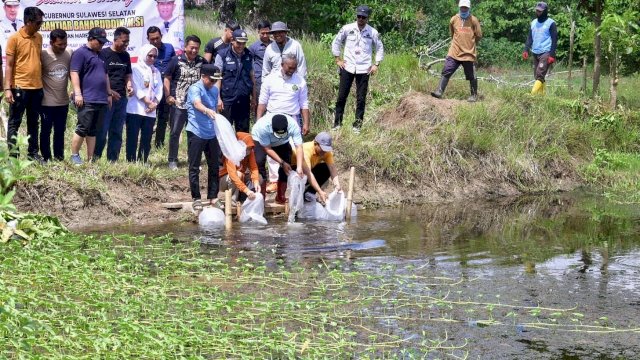 Pj Gubernur Sulsel Sebar 20 Ribu Benih Ikan Nila di Mare Bone