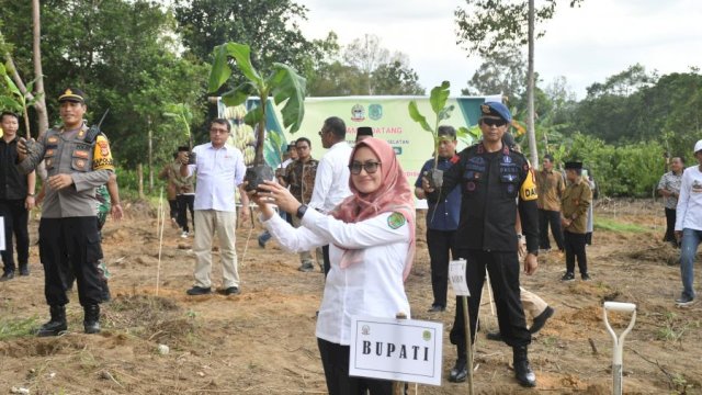 Pemda Luwu Utara Target 300 Hektar Lahan Untuk Ditanam Pisang Cavendish 