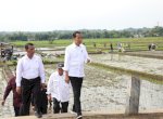 Presiden Ajak Petani Jawa Tengah Percepat Tanam di Bulan Januari 2024