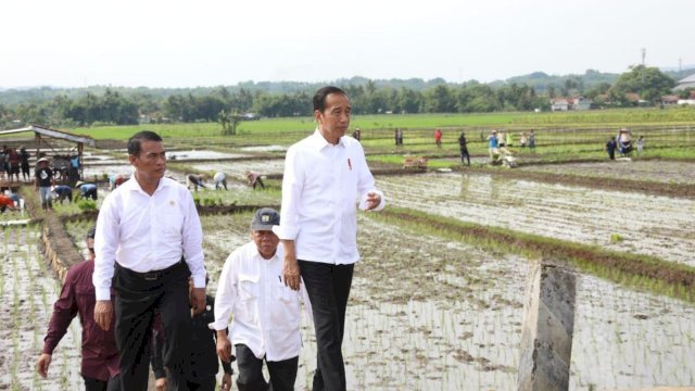 Presiden Jokowi bersama Menteri Pertanian Andi Amran Sulaiman saat meninjau masa tanam di Kabupaten Banyumas, Jawa Tengah , Rabu (3/1/2024). 