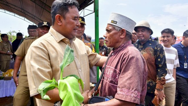 Petani di Lutim Dapat Bantuan Bibit Pisang Cavendish dari Pemprov Sulsel 