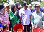Kreativitas Petani Desa Buae Sidrap, Tanam Pisang Cavendish Tumpang Sari dengan Kacang Tanah