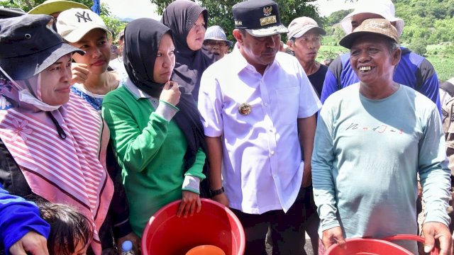 Kreativitas Petani Desa Buae Sidrap, Tanam Pisang Cavendish Tumpang Sari dengan Kacang Tanah