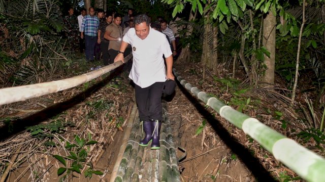 Potret Bahtiar Baharuddin, Desa ke Desa Hingga Jalan Kaki Lewati Titian Bambu