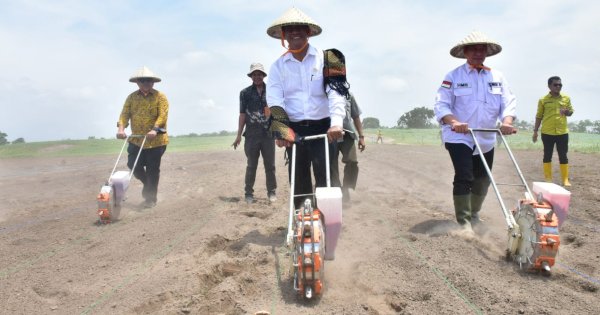 Mentan Amran Tanam Jagung di Sumbawa Untuk Perkuat Persediaan Nasional 2024