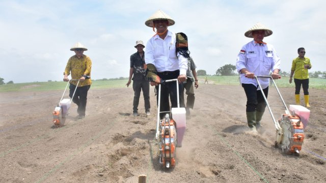 Menteri Pertanian (Mentan) Andi Amran Sulaiman melakukan penanaman jagung sekaligus menyerahkan bantuan dan berdialog dengan petani di Desa Labuan, Kecamatan Labuan Badas, Kabupaten Sumbawa, NTB, Kamis (25/1/2024).