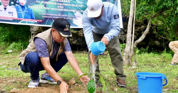 Di Rammang-rammang Maros, Bahtiar Baharuddin Tanam Pohon Sukun