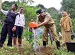 Giliran Bantimurung Jadi Sasaran Program Budidaya Sukun 