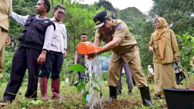 Giliran Bantimurung Jadi Sasaran Program Budidaya Sukun 