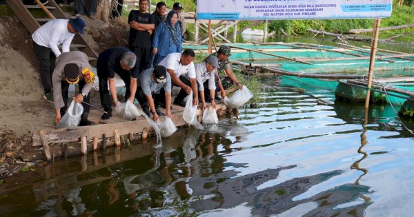 Di Pinrang, Pj Gubernur Sulsel Kunjungi Bangsal Pasca Panen KWT di Mattiro Bulu