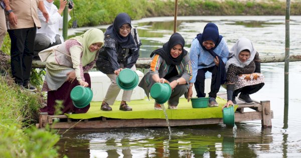 Pj Ketua PKK Sulsel Tebar Benur Udang Vaname dan Tanam Pisang Cavendish di Kota Parepare