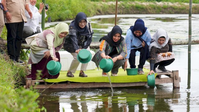 Pj Ketua PKK Sulsel Tebar Benur Udang Vaname dan Tanam Pisang Cavendish di Kota Parepare