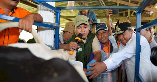 Melalui Inseminasi Buatan, Pj Gubernur Sulsel Target Enrekang Jadi Sentral Sapi Perah