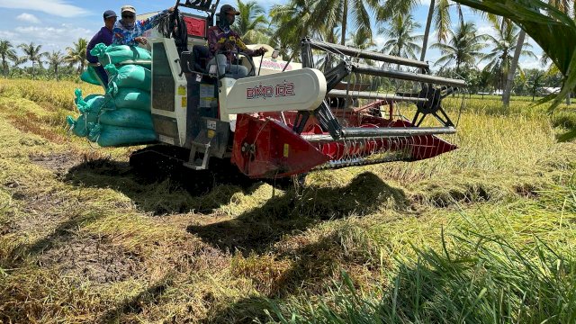 Panen Padi di Sumsel Optimal, Pemprov Optimis Puncak Panen Mencukupi Pasar 