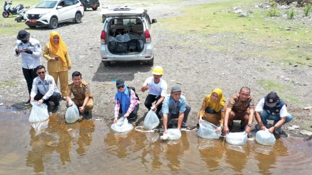 600 Ribu Benih Ikan Kembali Ditebar di Kabupaten Bone