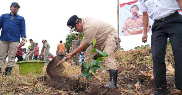 Dorong Skala Industri, Pj Gubernur Bahtiar Galakkan Penanaman 2 Juta Pohon Nangka Madu di Sulsel