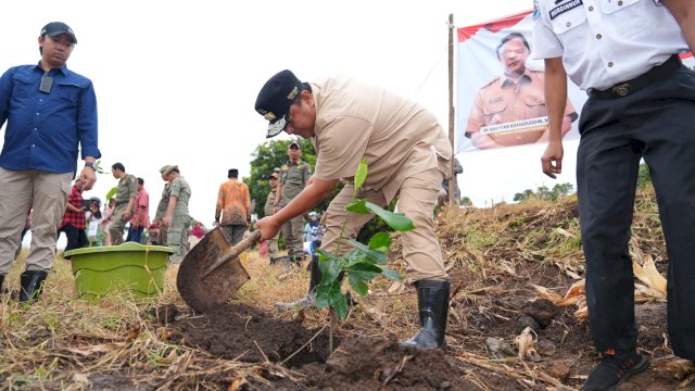 Dorong Skala Industri, Pj Gubernur Bahtiar Galakkan Penanaman 2 Juta Pohon Nangka Madu di Sulsel