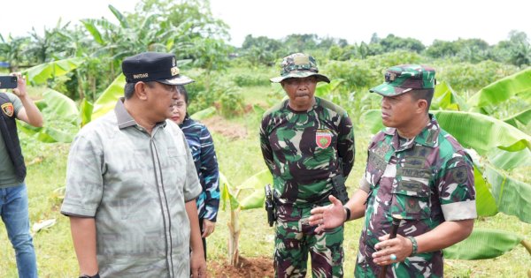 Ditanam Saat Kemarau, Pisang Cavendish di Tamarunang Gowa Dipanen Empat Bulan Lagi