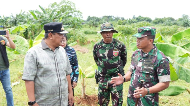 Ditanam Saat Kemarau, Pisang Cavendish di Tamarunang Gowa Dipanen Empat Bulan Lagi