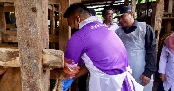 Inseminasi Buatan di Tellu Siattinge Bone, Pj Gubernur Sulsel Pastikan Program Sampai ke Masyarakat 