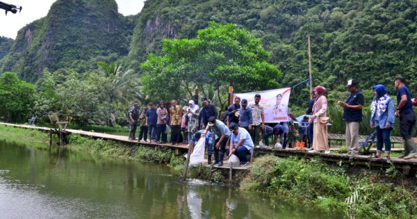 Lestarikan Kawasan Rammang-rammang, Bahtiar Baharuddin Tanam Sukun Hingga Tebar Benih Ikan 